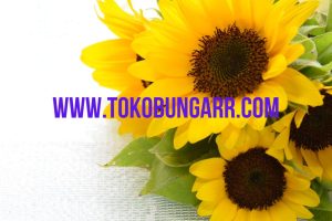 Bunga Matahari